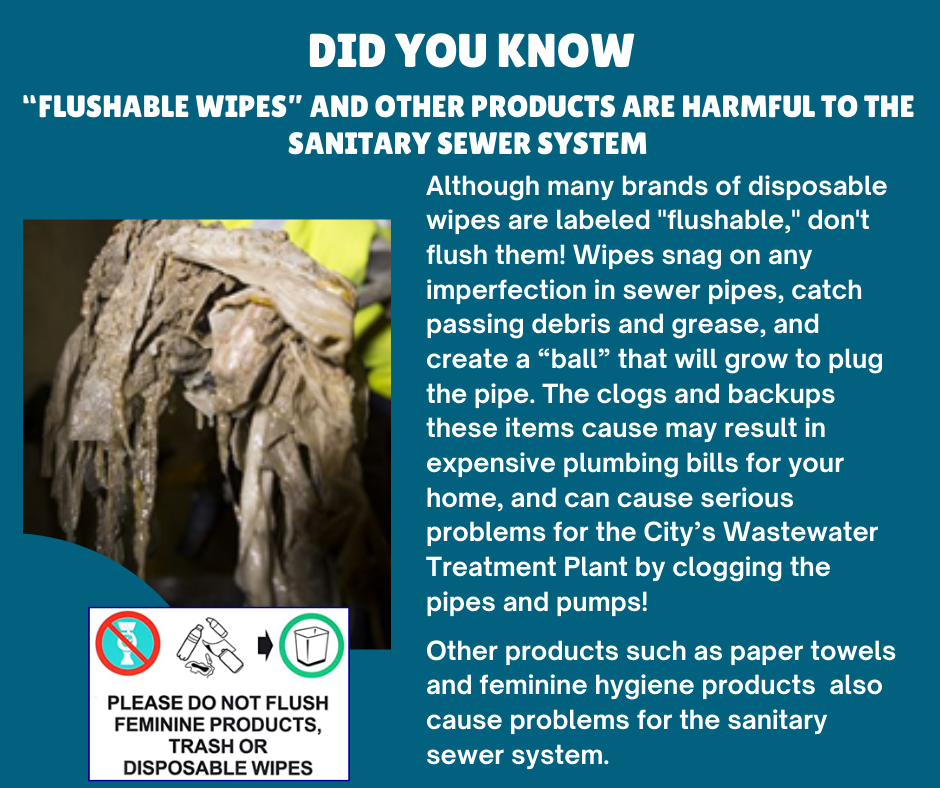 Flushable Wipes - Not Flushable